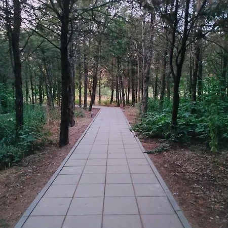 Lucian Appartement Douăzeci şi Trei August