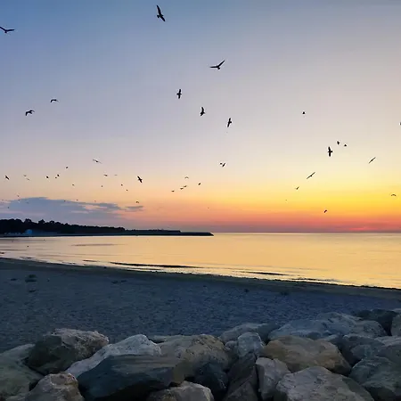 Lucian Douăzeci şi Trei August