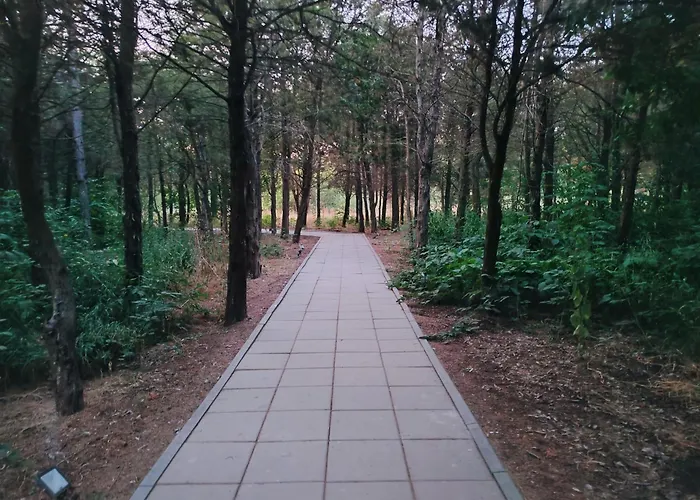 Lucian Apartamento Douăzeci şi Trei August