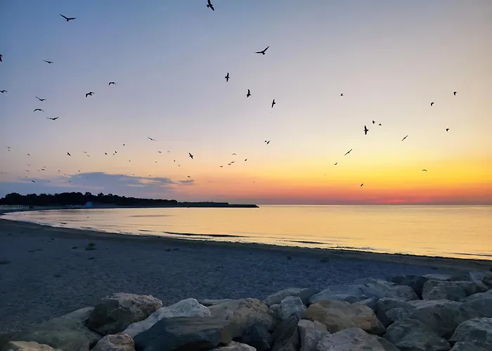 Lucian Douăzeci şi Trei August